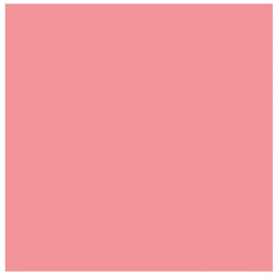 Background Paper Rolls 2.72x11m Pink