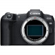 Canon EOS R8 Mirrorless Camera Canon EOS R8 Mirrorless Camera