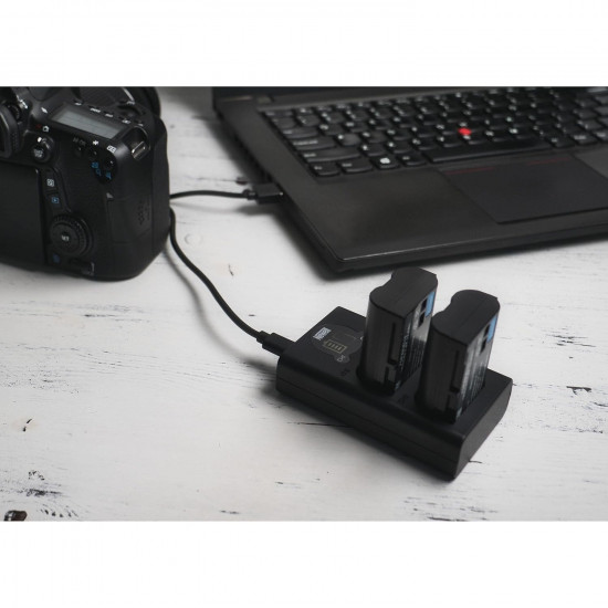 Newell DL-USB-C Dual Channel Charger For NP-FZ100 Newell DL-USB-C Dual Channel Charger For NP-FZ100
