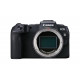 Canon EOS RP Mirrorless Camera Mirrorless Camera Body only Canon EOS RP Mirrorless Camera Mirrorless Camera Body only