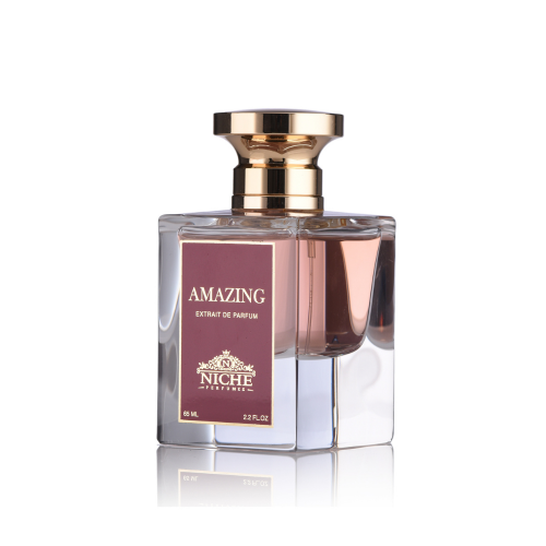 نيش امازينغ او دو برفيوم 65 مل