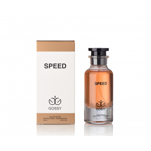 برفيوم غاليري سبيد 100 مل