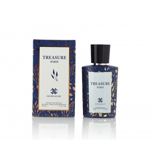 نيش غاليري تريزور  100 مل