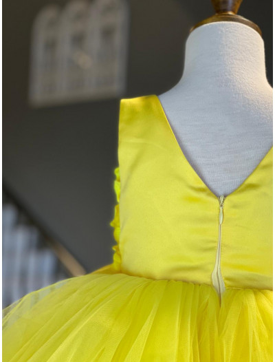 Little Rosa Little Rosa