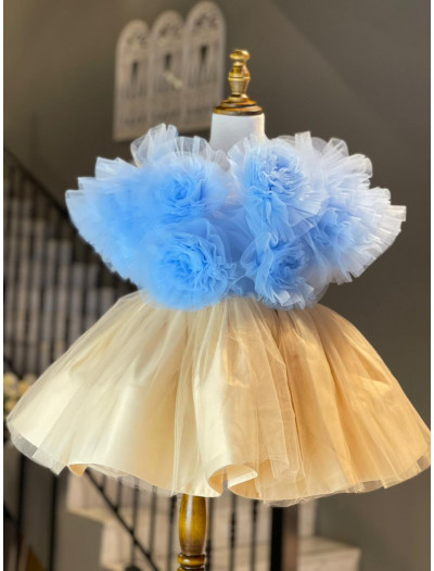 Little Rosa  Little Rosa