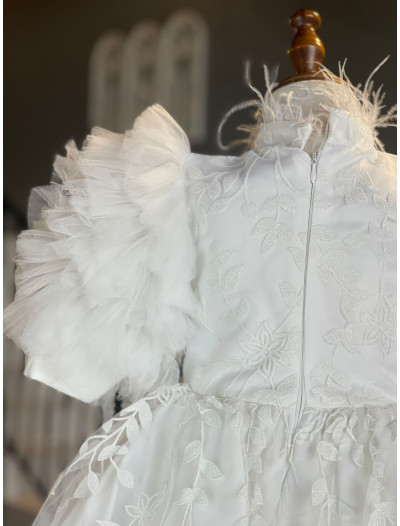 Little Rosa Little Rosa