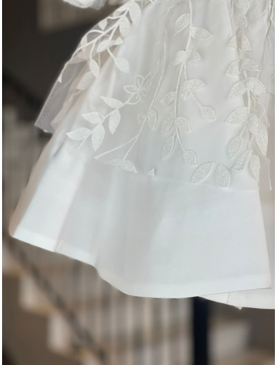 Little Rosa Little Rosa