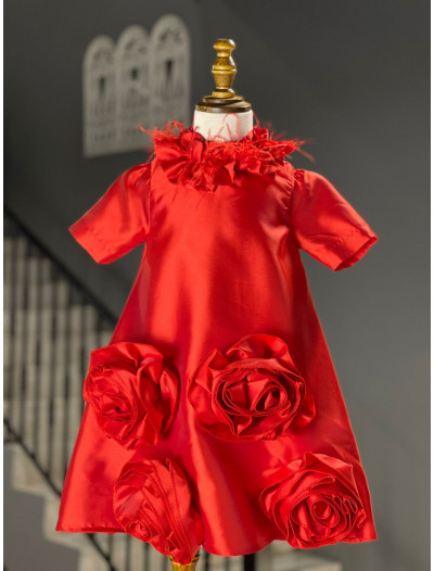 Little Rosa Little Rosa