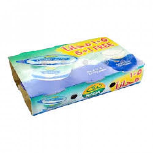 زبادي ندى  كامل الدسم 6x170جم