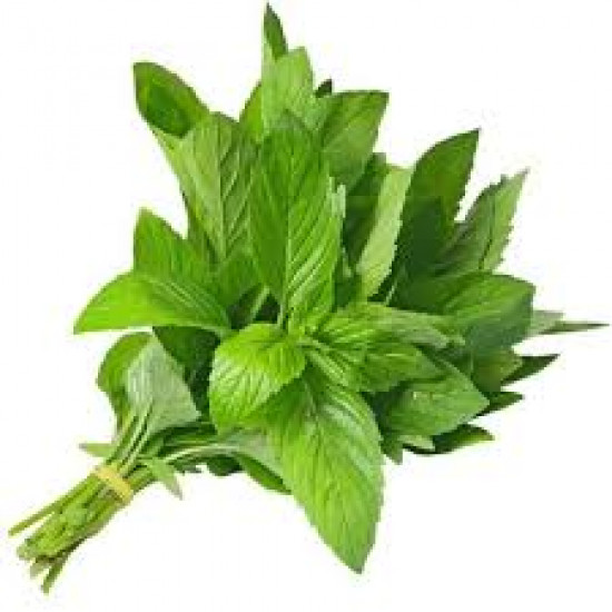 ربطة نعناع
