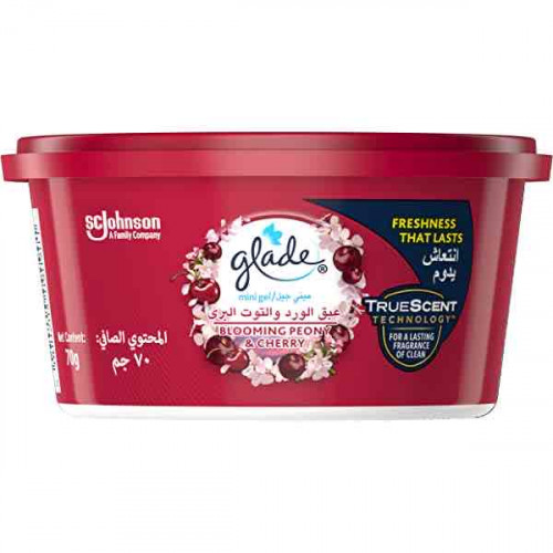 معطر جو ميني جل برائحة عبق الورد والتوت البري من جليد 70جم