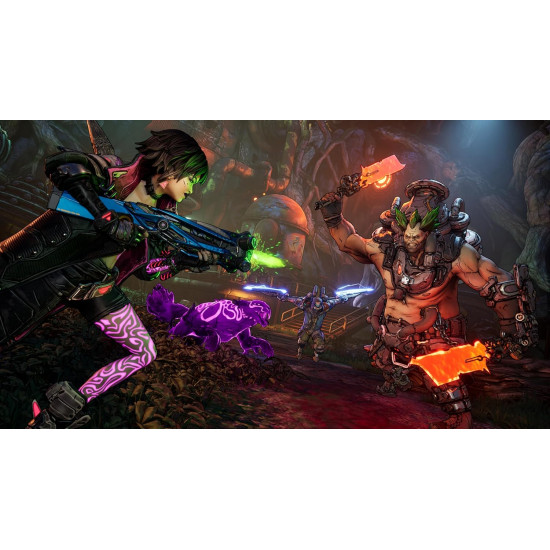 بوردرلاندد 4 PS5