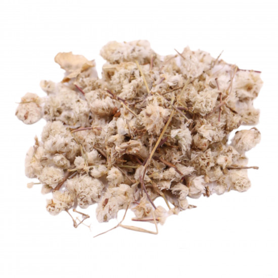 رجل الاسد رجل الاسد