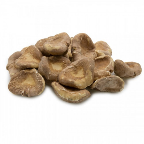 خميرة البيرة