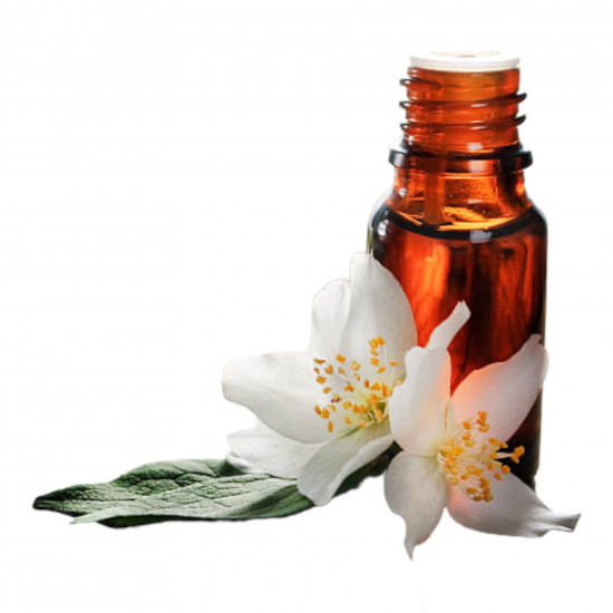 زيت زهرة بوفارديا