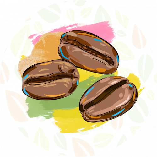 القهوة وانواعها