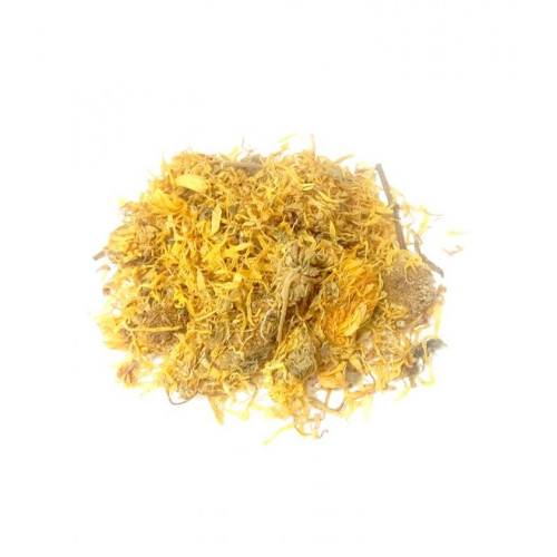 اذريون الحدائق اذريون الحدائق