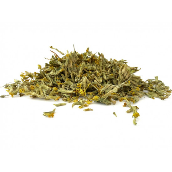 زهرة الربيع زهرة الربيع