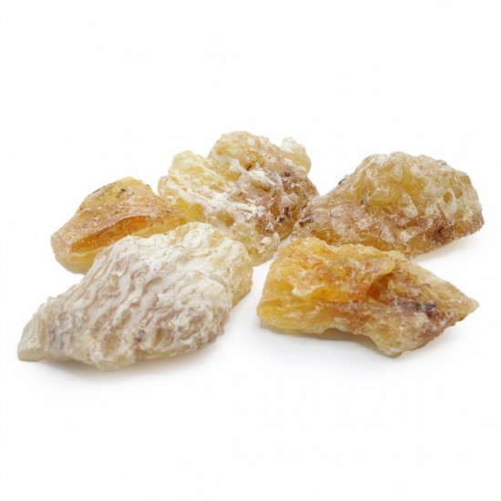 لبان لامي لبان لامي