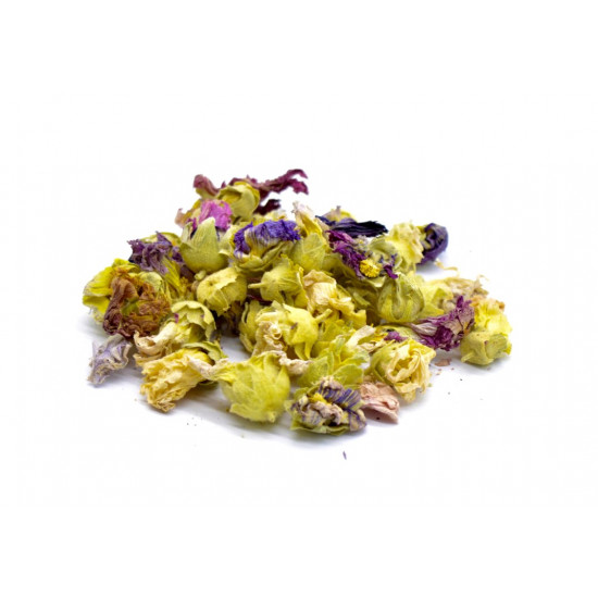 زهرة الخطمية زهرة الخطمية