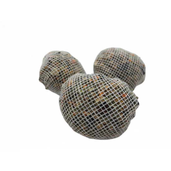 الشوربة الحجازية