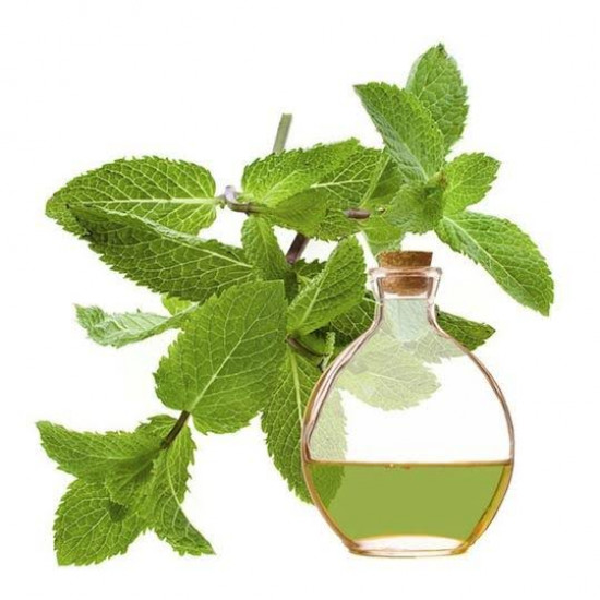 زيت الاريجانوا