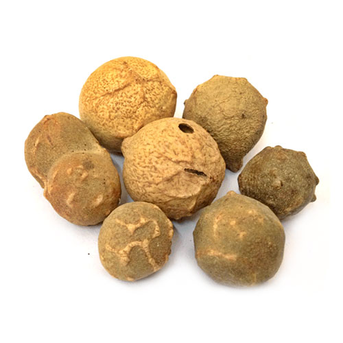 عفص عفص