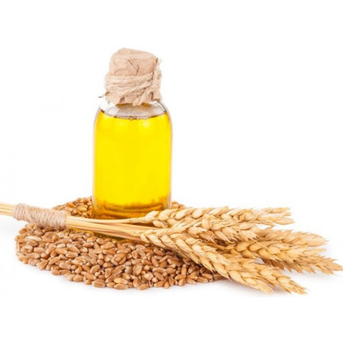زيت جنين القمح الطبيعي 100 %