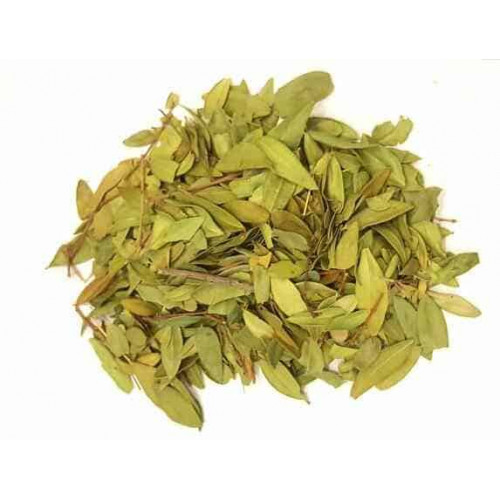 ورق الاس ورق الاس
