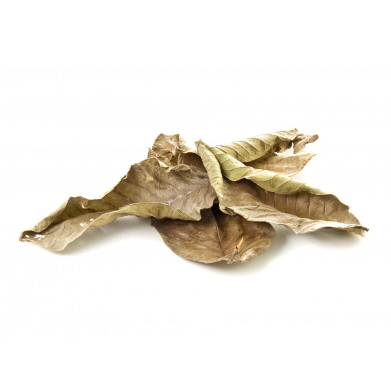 ورق الجوافة ورق الجوافة