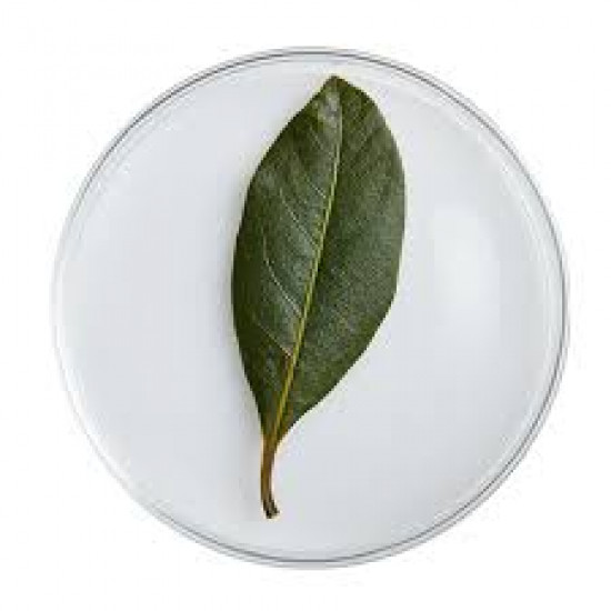 ورق الحرمل ورق الحرمل