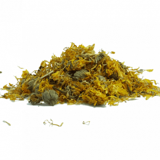 زهرة الاقحوان زهرة الاقحوان