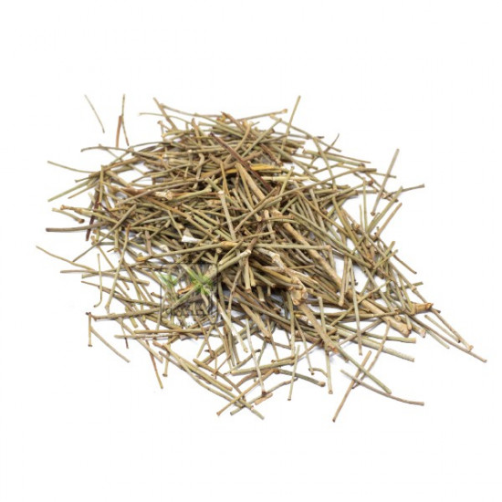 نبات الأرطة نبات الارطا نبات الأرطة نبات الارطا