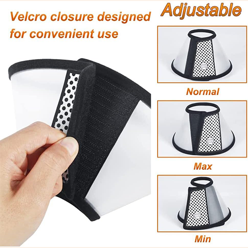 اطار واقي طبي للقطط و الكلاب مقاسات متعددة اطار واقي طبي للقطط و الكلاب مقاسات متعددة