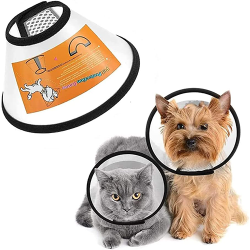 اطار واقي طبي للقطط و الكلاب مقاسات متعددة اطار واقي طبي للقطط و الكلاب مقاسات متعددة
