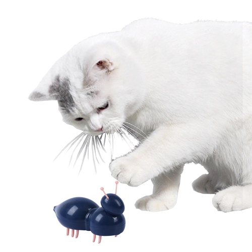 لعبة النملة الالكترونية للحيوانات الاليفة لعبة النملة الالكترونية للحيوانات الاليفة