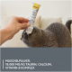 فيتامين جيم كات بالتورين للحفاظ على صحة العيون والقلب للقطط GimCat Taurine Paste Extra فيتامين جيم كات بالتورين للحفاظ على صحة العيون والقلب للقطط GimCat Taurine Paste Extra