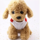 تيشرت القطط شخصية كرتونية happy pets تيشرت القطط شخصية كرتونية happy pets