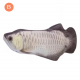لعبة السمكة المتحركة للقطط DazSpirit Fish لعبة السمكة المتحركة للقطط DazSpirit Fish