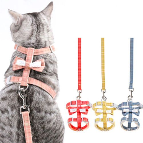 حبل التنزه للقطط مزين بفيونكة 4 الوان مقاس M