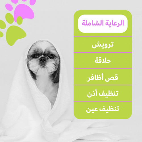 الرعاية الشاملة الرعاية الشاملة