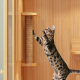 فيلا فاخرة من الخشب الصلب للقطط والحيوانات الأليفة Cat House فيلا فاخرة من الخشب الصلب للقطط والحيوانات الأليفة Cat House