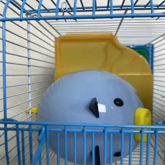 قفص هامستر محمول مكون من طبقتين Hamster cage قفص هامستر محمول مكون من طبقتين Hamster cage