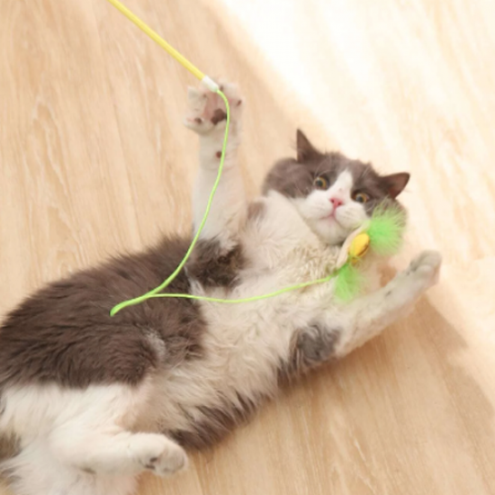  سنارة النحلة cat hook التفاعلية للقطط 