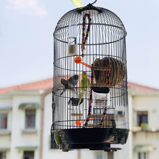 قفص طيور دائري كبير Round bird cage من الحديد المطاوع قفص طيور دائري كبير Round bird cage من الحديد المطاوع