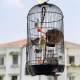 قفص طيور دائري كبير Round bird cage من الحديد المطاوع قفص طيور دائري كبير Round bird cage من الحديد المطاوع
