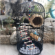 قفص طيور دائري كبير Round bird cage من الحديد المطاوع قفص طيور دائري كبير Round bird cage من الحديد المطاوع