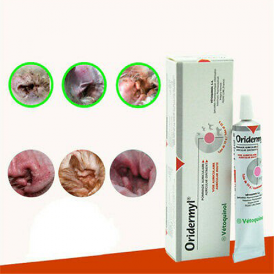 Oridermyl اوريدرميل كريم لعلاج عث الأذن الاصلي للقطط Oridermyl اوريدرميل كريم لعلاج عث الأذن الاصلي للقطط