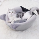 كهف القطط و الكلاب Happy pets كهف القطط و الكلاب Happy pets