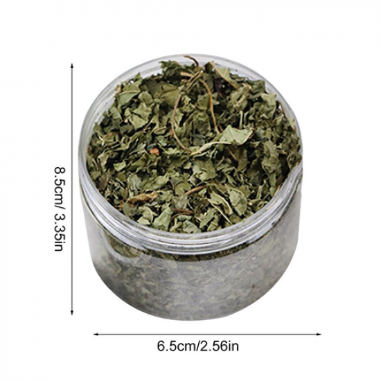 علبة كاتنيب نعناع بري طبيعي ( Catnip ) كمية اكبر علبة كاتنيب نعناع بري طبيعي ( Catnip ) كمية اكبر